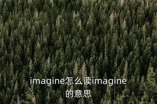 imagined,程序如何進行?