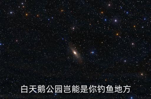 白天鵝公園豈能是你釣魚地方
