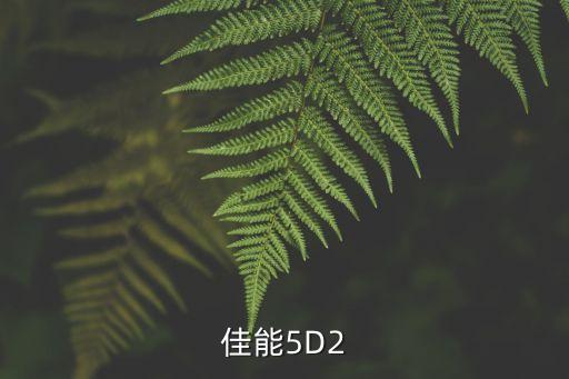 佳能5D2