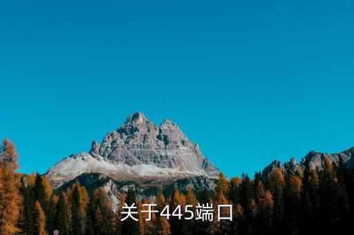 關于445端口