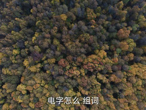 電的組詞,第二集:閃電、雷電、閃電，閃電,雷雨