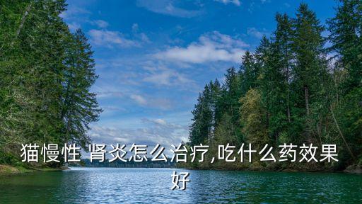 腎炎吃什么食物好,如何治療慢性貓腎炎?