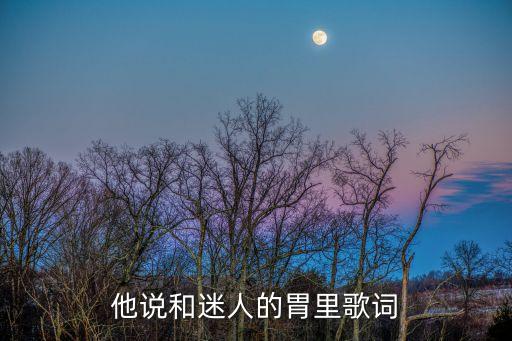 他說和迷人的胃里歌詞