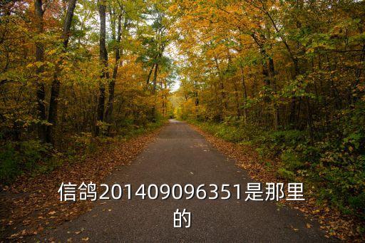 信鴿201409096351是那里的