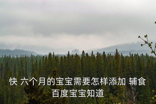 六個(gè)月嬰兒輔食,六個(gè)月寶寶輔食添加注意事項(xiàng)
