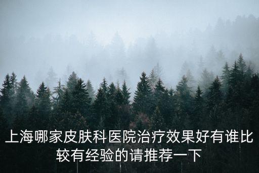 上海市那家治皮膚病，上海哪家皮膚科醫院治療效果好有誰比較有經驗的請推薦一下