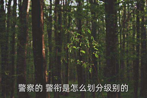 警察的 警銜是怎么劃分級(jí)別的