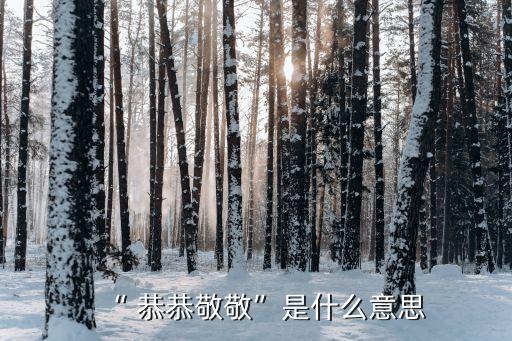 恭恭敬敬造句,第二集:我和你一樣希望被尊重