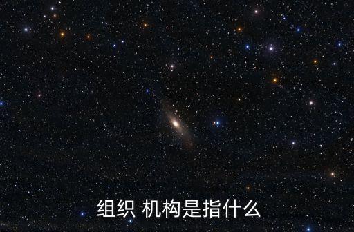  組織 機(jī)構(gòu)是指什么