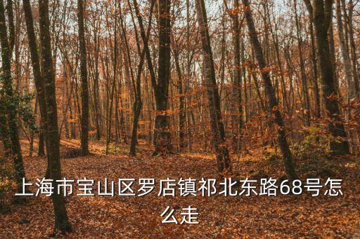 上海市寶山區羅店鎮祁北東路68號怎么走