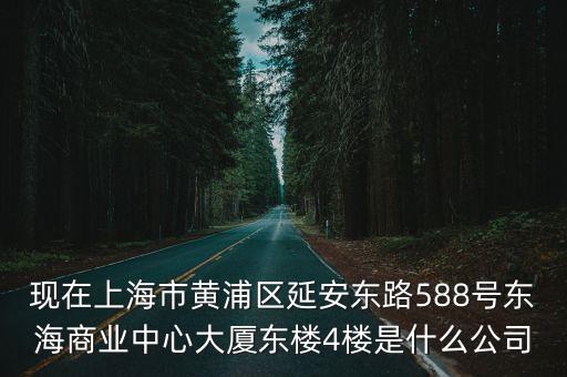 現在上海市黃浦區延安東路588號東海商業中心大廈東樓4樓是什么公司