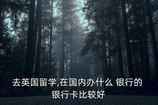 去英國留學,在國內辦什么 銀行的 銀行卡比較好