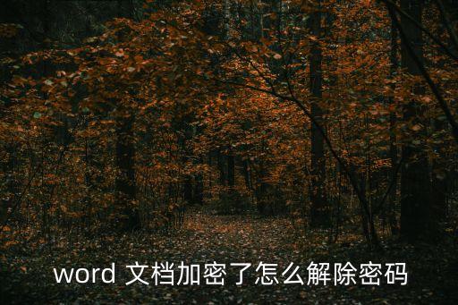  word 文檔加密了怎么解除密碼