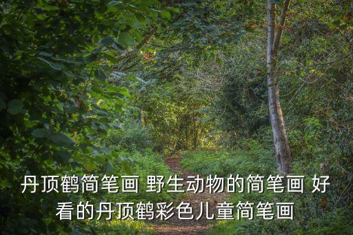 丹頂鶴簡筆畫 野生動物的簡筆畫 好看的丹頂鶴彩色兒童簡筆畫