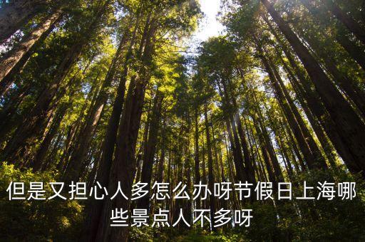 但是又擔心人多怎么辦呀節假日上海哪些景點人不多呀