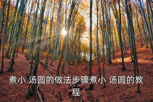小湯圓,【2020年春節特制湯圓熱銷