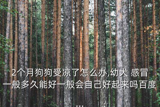 2個(gè)月狗狗受涼了怎么辦,幼犬 感冒一般多久能好一般會自己好起來嗎百度...