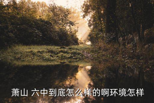 蕭山六中,一中\(zhòng)n\小中(一中)最好的是蕭山中學(xué)