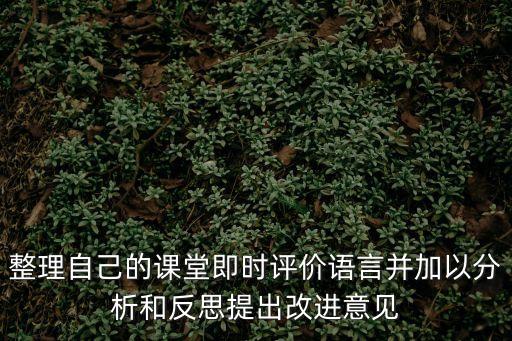 整理自己的課堂即時評價語言并加以分析和反思提出改進(jìn)意見