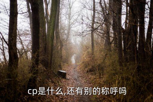  cp是什么,還有別的稱呼嗎