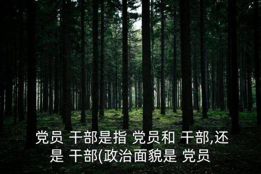 黨員干部,黨員干部是整個干部團隊的骨干?