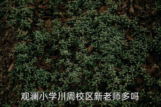 觀瀾小學(xué)川周校區(qū)新老師多嗎