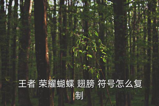 王者 榮耀蝴蝶 翅膀 符號怎么復制