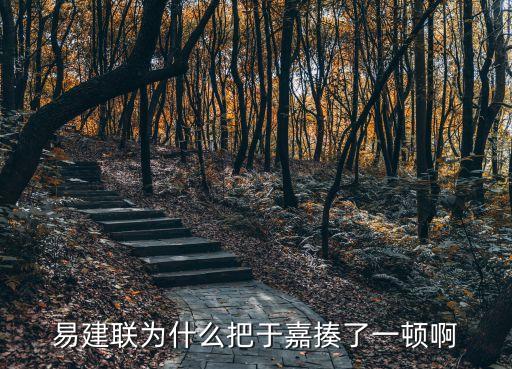 于嘉微博,于佳辱罵易建聯被批評沒貢獻