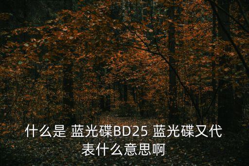 什么是 藍光碟BD25 藍光碟又代表什么意思啊