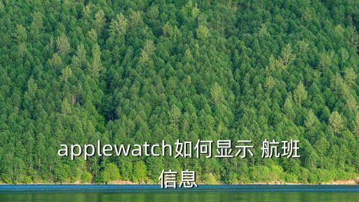 applewatch如何顯示 航班信息