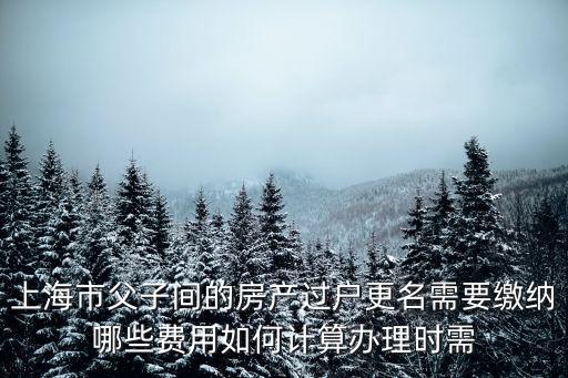 上海市 房產(chǎn)更名手續(xù)，上海房子改名要怎么改