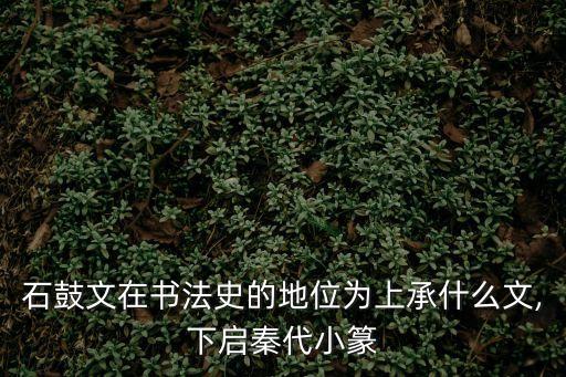 秦公簋,中國秦代石鼓文字體雖小篆卻大氣磅礴