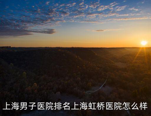 上海男子醫院排名上海虹橋醫院怎么樣