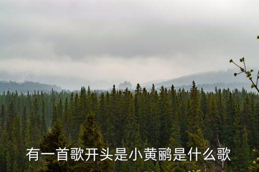 小黃鸝，小黃鸝鳥內蒙古民歌