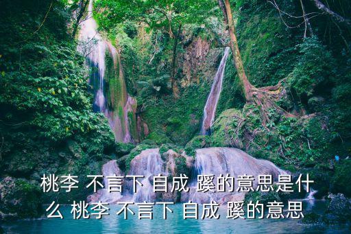 桃李不言下自成蹊的意思