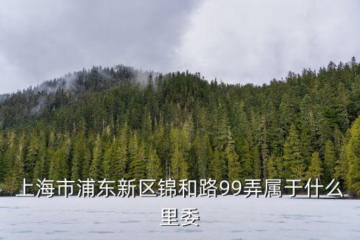 上海市浦東新區錦和路99弄屬于什么里委