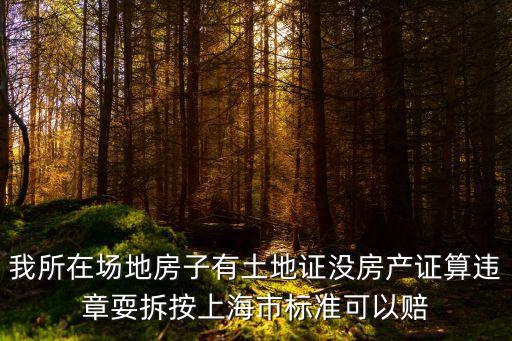 我所在場地房子有土地證沒房產證算違章耍拆按上海市標準可以賠