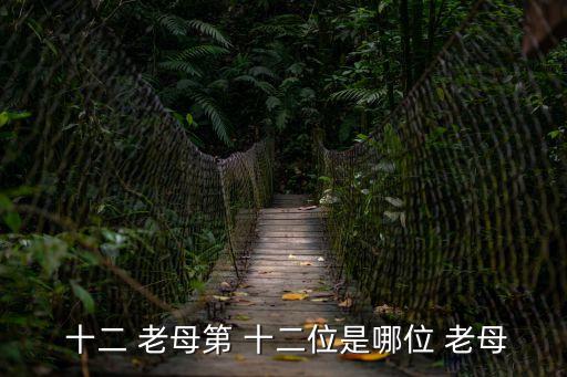 十二老母誰最大,十二老母香火旺最大的是無極老母!