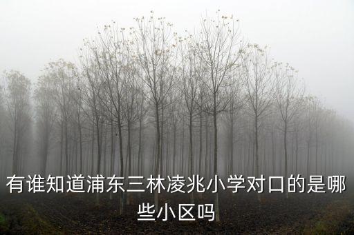 上海市凌兆小學對口中學，有誰知道浦東三林凌兆小學對口的是哪些小區嗎