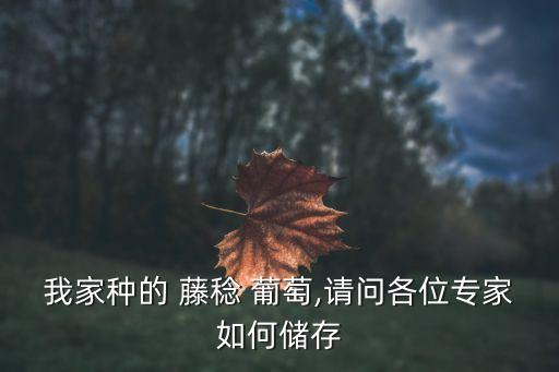 藤稔葡萄,如何提高葡萄結果率?