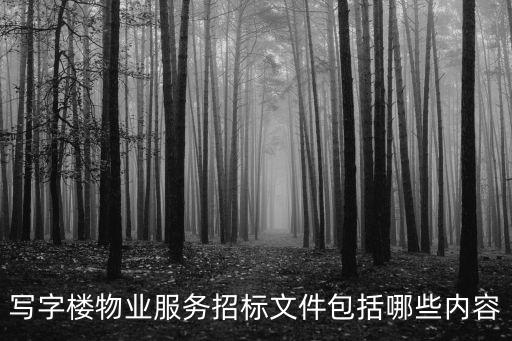 寫字樓物業服務招標文件包括哪些內容