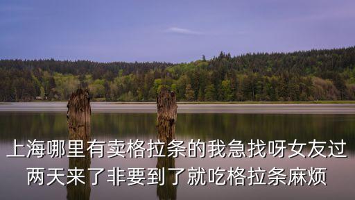 上海哪里有賣格拉條的我急找呀女友過兩天來了非要到了就吃格拉條麻煩