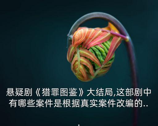 懸疑劇《獵罪圖鑒》大結局,這部劇中有哪些案件是根據真實案件改編的...