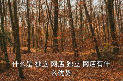 什么是 獨立 網(wǎng)店 獨立 網(wǎng)店有什么優(yōu)勢