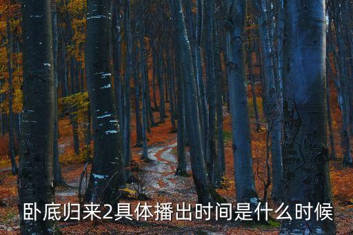 臥底2,臥底return2第二季播出時間表