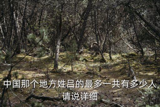 中國那個地方姓呂的最多一共有多少人請說詳細