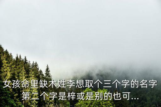 李沐晴,《一路向西》第二集:《清香型》這個名字不僅是代號
