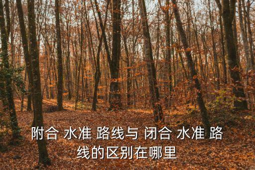 閉合水準路線,水準-2/(山準路線)觀測線路封閉易調整校正