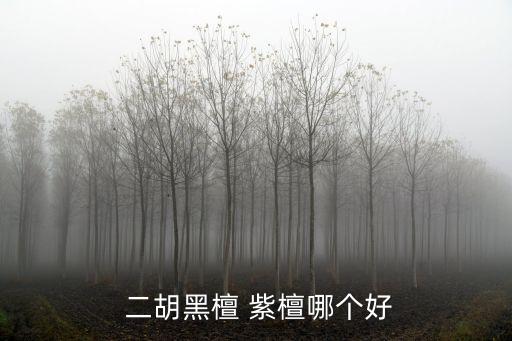  二胡黑檀 紫檀哪個好