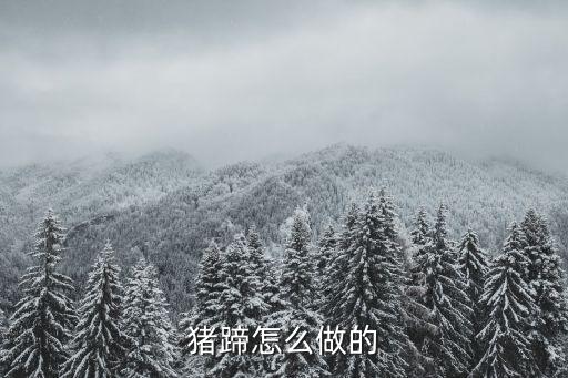 沙姜豬腳,豬蹄和五個(gè)調(diào)料包放入砂鍋中加入一鍋開水即可